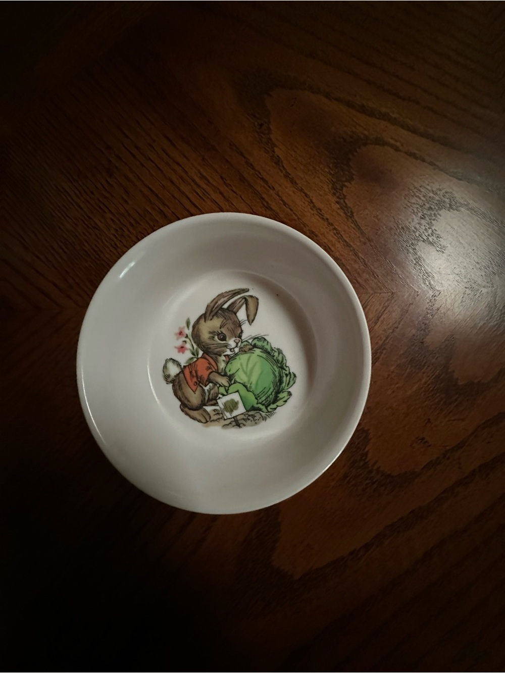 Oneida Deluxe Peter Rabbit Melamine Dinnerware Set - Picture 11 of 16